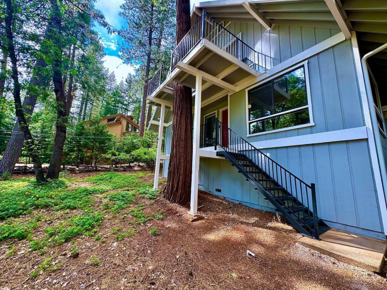 Cabin In The Trees-Game Room Pollock Pines 外观 照片
