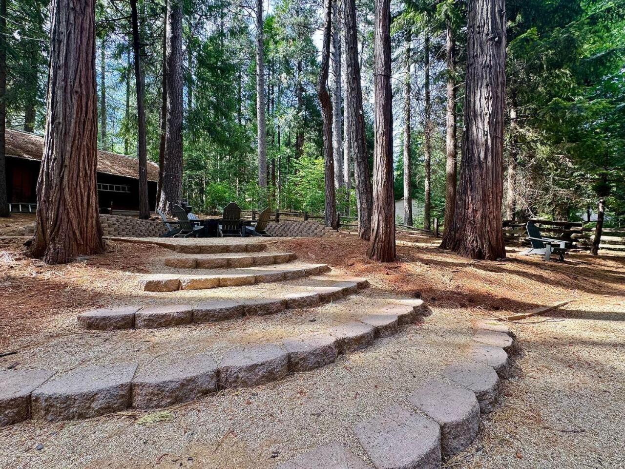 Cabin In The Trees-Game Room Pollock Pines 外观 照片