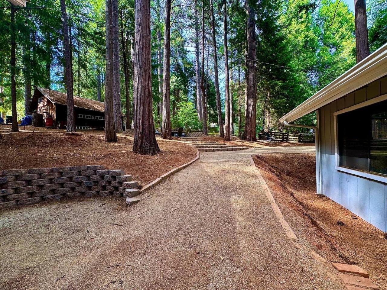Cabin In The Trees-Game Room Pollock Pines 外观 照片