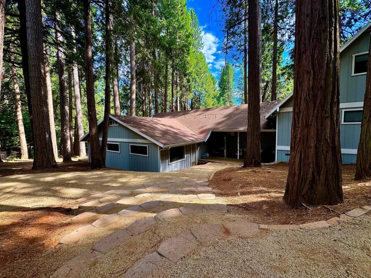 Cabin In The Trees-Game Room Pollock Pines 外观 照片