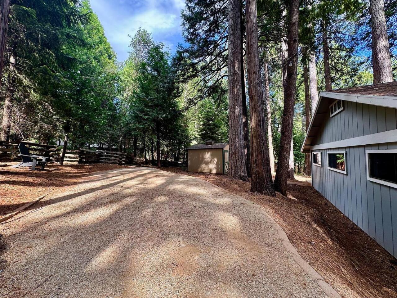 Cabin In The Trees-Game Room Pollock Pines 外观 照片